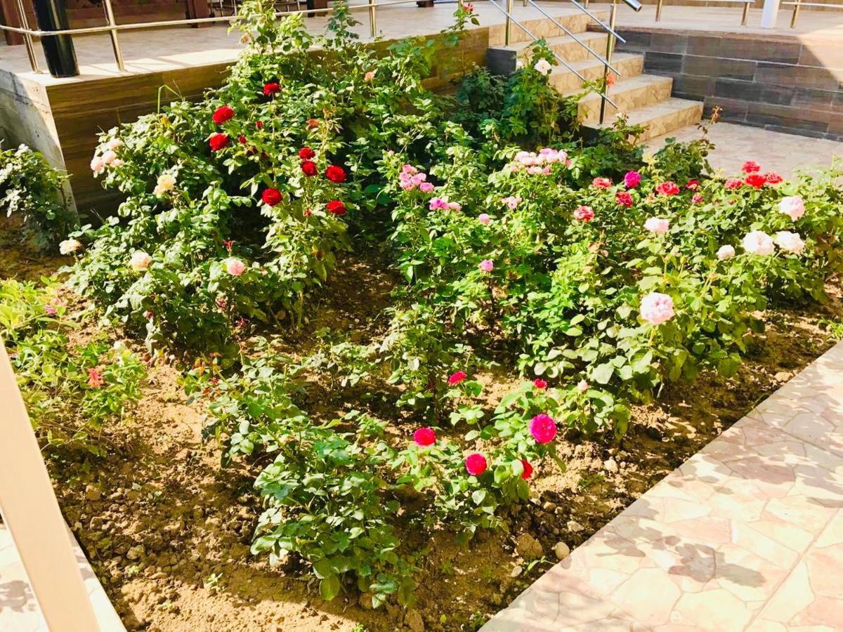 Мини-Отель Кристалл Zandrypsch Exterior foto